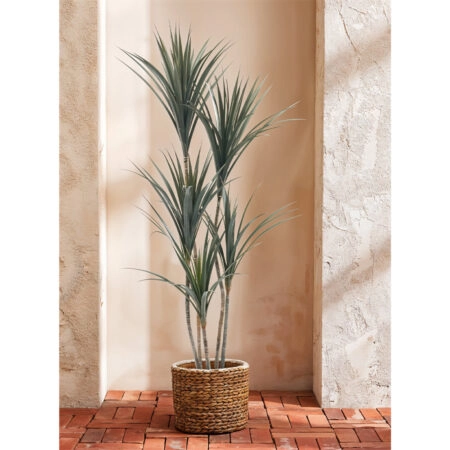 YUCCA ΔΕΝΤΡΟ ΤΕΧΝΗΤΟ ΣΕ ΓΛΑΣΤΡΑ 150 PE ΠΡΑΣΙΝΟ -  Sticky 1