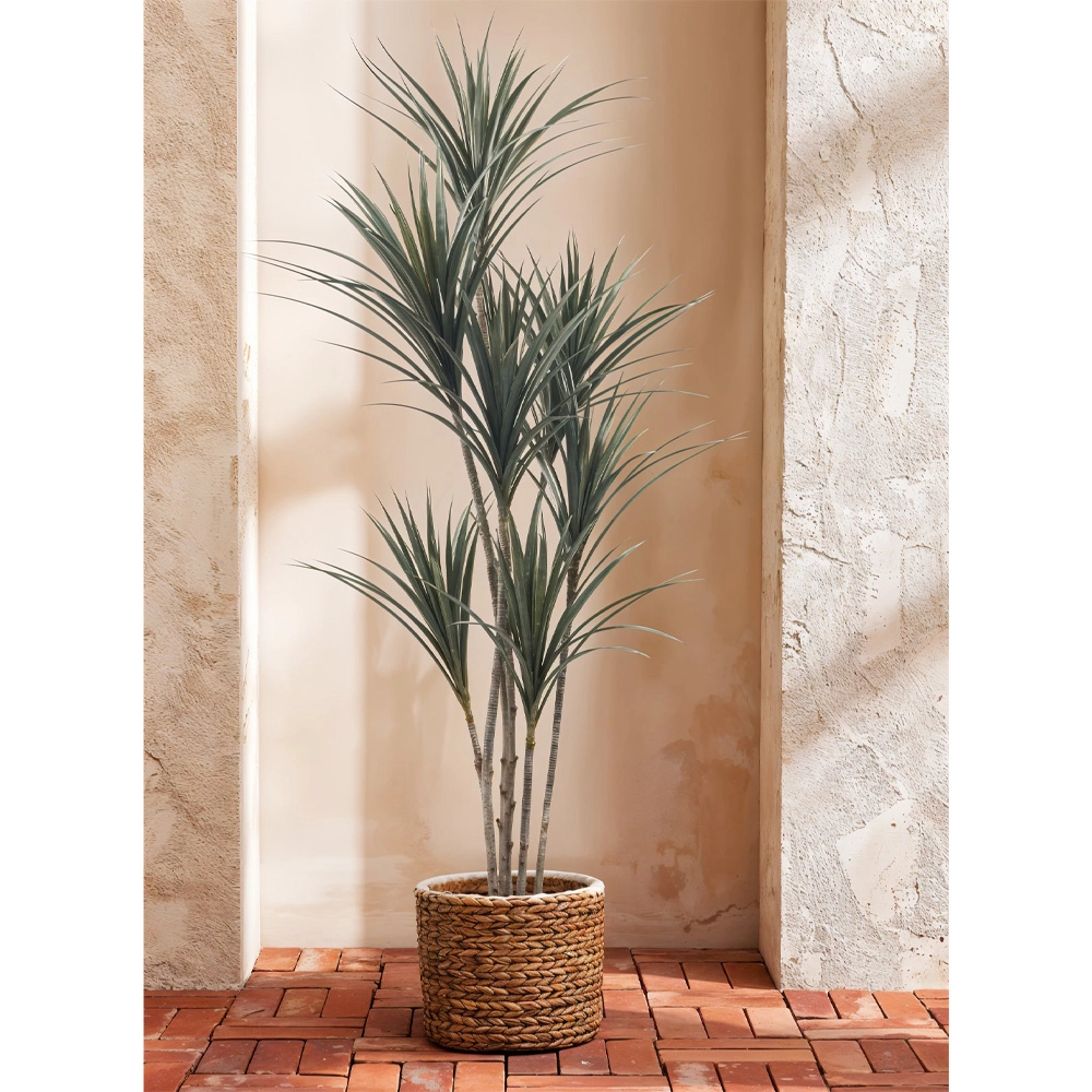 YUCCA ΔΕΝΤΡΟ ΤΕΧΝΗΤΟ ΣΕ ΓΛΑΣΤΡΑ 190 PE ΠΡΑΣΙΝΟ