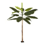 BANANA TREE 21500 Τεχνητό Διακοσμητικό Δέντρο Μπανανιάς Υ300cm