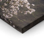Τετράπτυχος BLOSSOMING MAGNOLIA