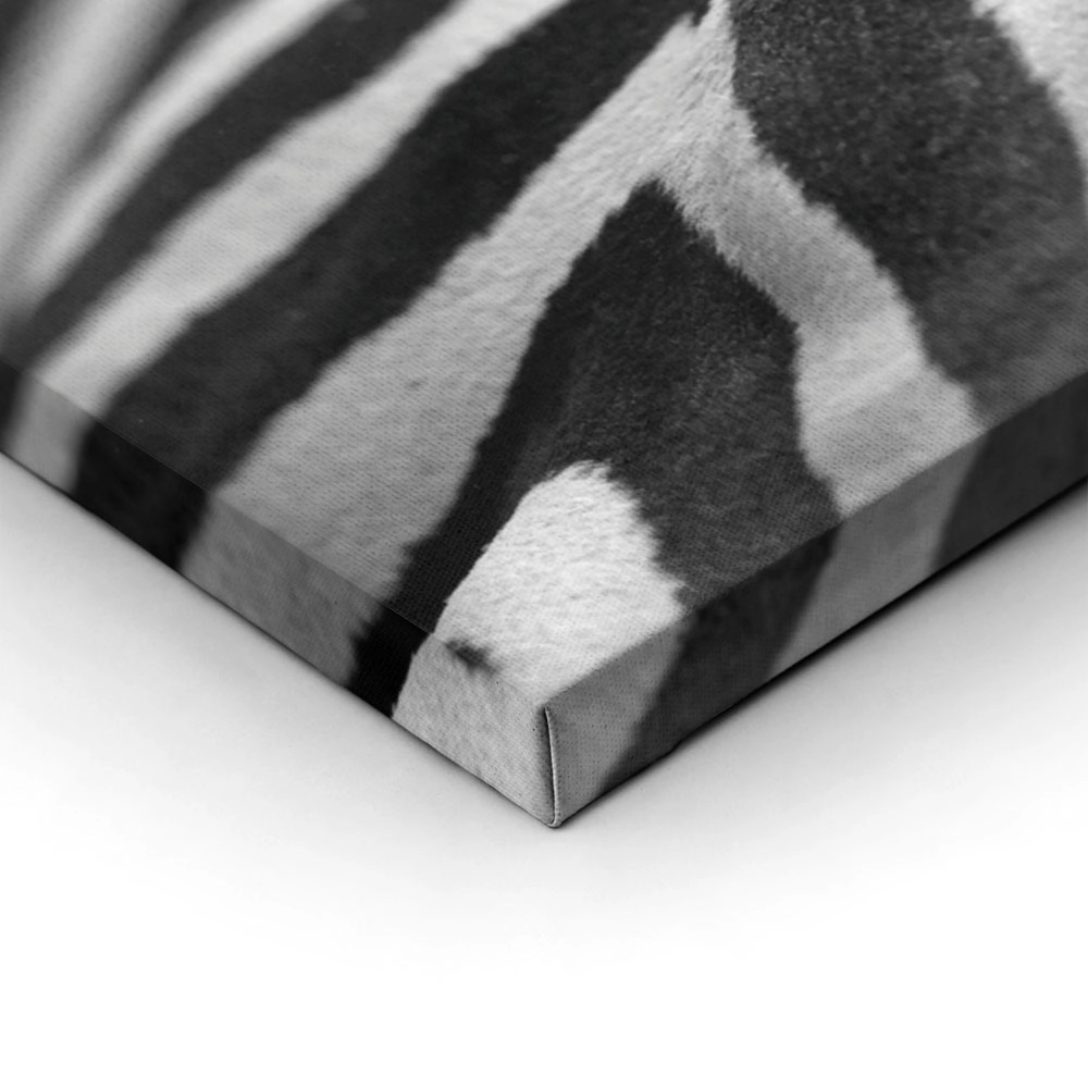 Σετ Δίπτυχος Πινακας σε καμβά GREVY ZEBRA