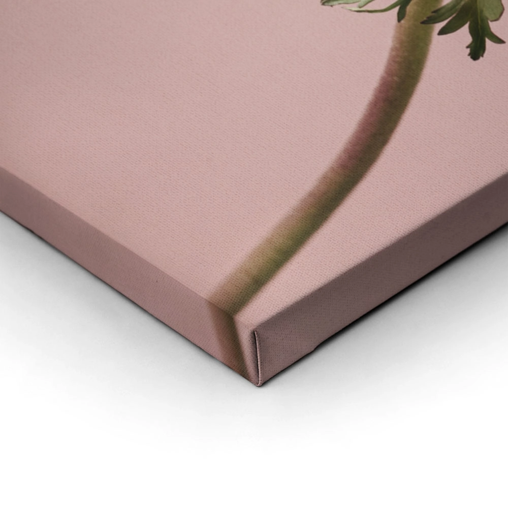 Σετ Τριπτυχος Πινακας σε καμβά PINK MINIMALISM