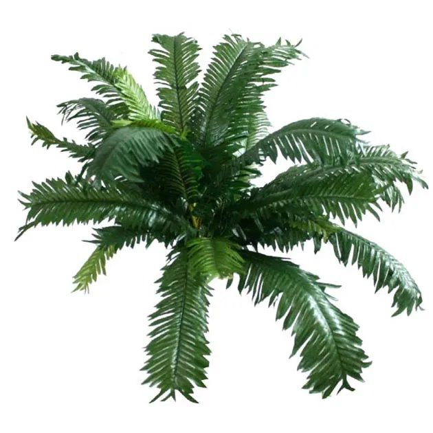 ΡΙΖΑ ΤΣΙΚΑ 50xY40cm