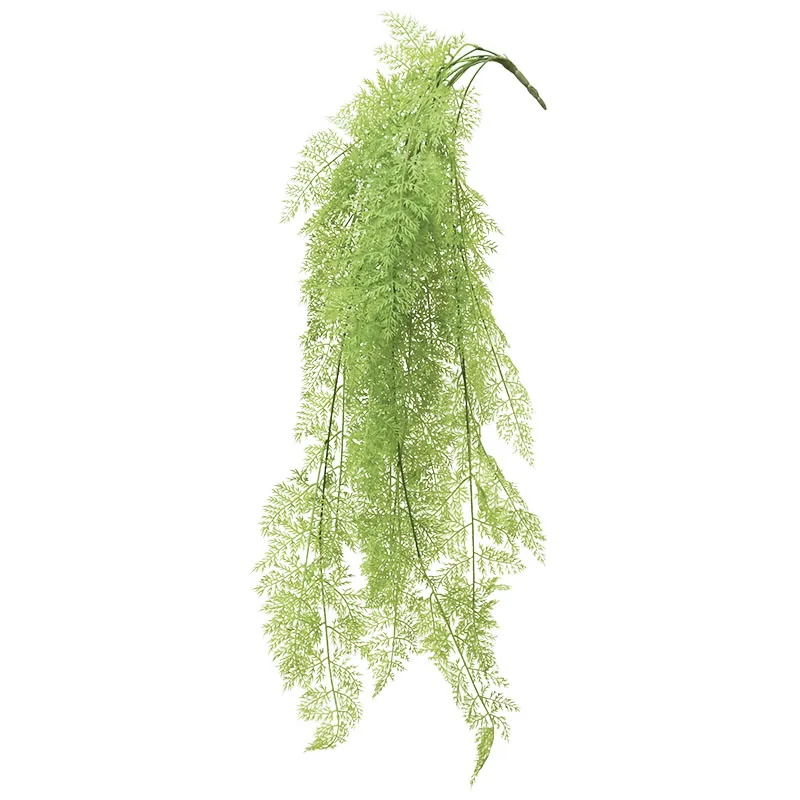 ΡΙΖΑ ΚΡΕΜΑΣΤΗ ΦΤΕΡΗ ΛΑΧΑΝΙ - Υ130cm