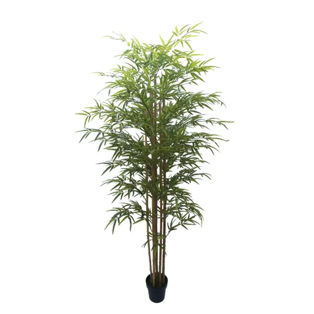 ΔΕΝΤΡΟ ΜΠΑΜΠΟΥ REAL TOUCH ΣΕ ΓΛΑΣΤΡΑ Y180cm