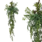 ΡΙΖΑ ΚΡΕΜΑΣΤΗ ΦΤΕΡΗ ΣΕ ΚΟΡΜΟ ΜΕ ΒΡΥΑ - Υ165cm