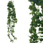 ΡΙΖΑ ΚΡΕΜΑΣΤΗ ΚΙΣΣΟΣ ΠΡΑΣΙΝΟΣ - Υ200cm