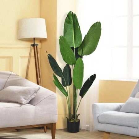 BANANA TREE NP1410_120  ΥΨΟΣ 120cm -  Sticky 4