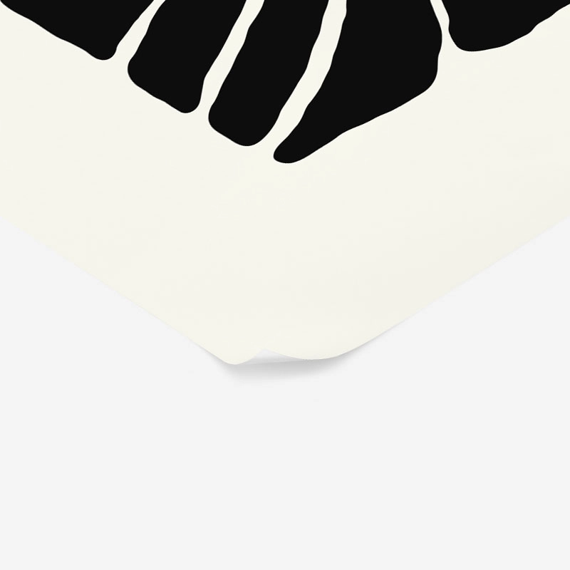 Πόστερ BLACK AND WHITE FLORAL 13