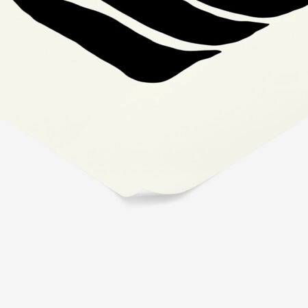 Πόστερ BLACK AND WHITE FLORAL 17 - Abstract - Αφηρημένα Sticky 2
