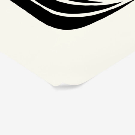 Πόστερ BLACK AND WHITE FLORAL 18 - Abstract - Αφηρημένα Sticky 2