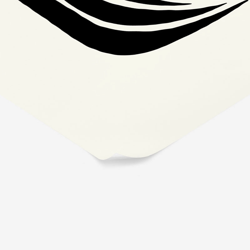 Πόστερ BLACK AND WHITE FLORAL 18