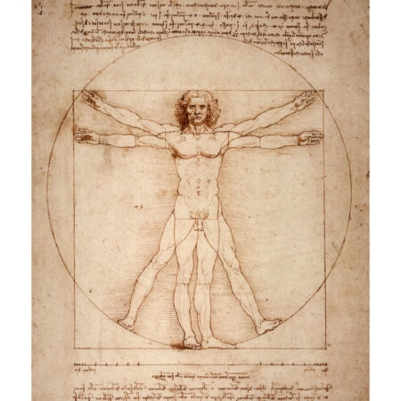 Πόστερ DA VINCI - VITRUVIAN MAN - Διασημοι Ζωγραφοι Sticky 3