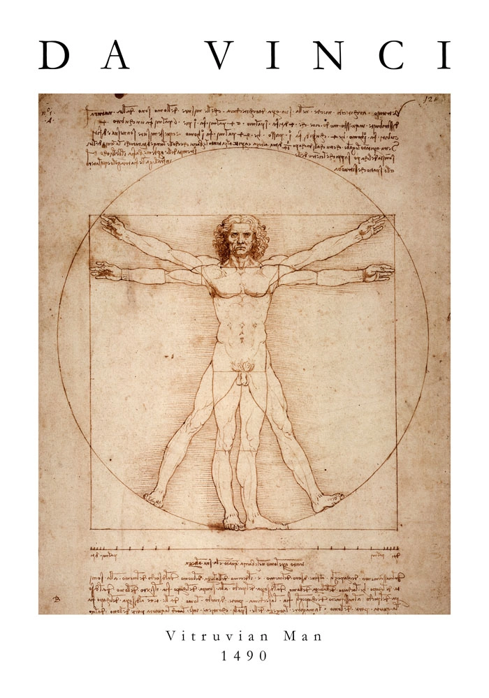 Πόστερ DA VINCI - VITRUVIAN MAN
