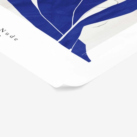 Πόστερ MATISSE - BLUE NUDE - Διασημοι Ζωγραφοι Sticky 2