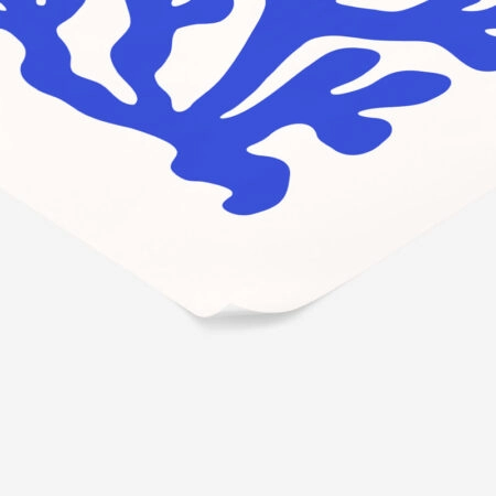 Πόστερ MATISSE STYLE CORAL 2 - Ζωα Sticky 2