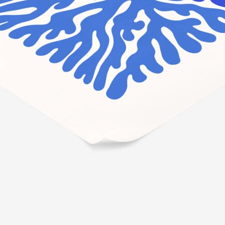 Πόστερ MATISSE STYLE CORAL - Botanical - Λουλούδια Sticky 2
