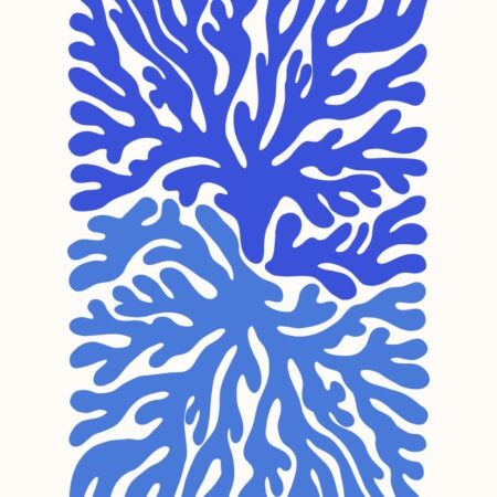 Πόστερ MATISSE STYLE CORAL - Botanical - Λουλούδια Sticky 3