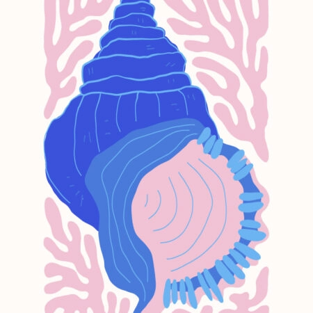 Πόστερ MATISSE STYLE SEASHELL 1 - Ζωα Sticky 3