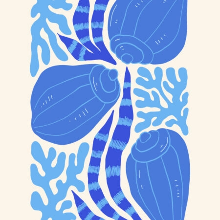 Πόστερ MATISSE STYLE SEASHELL 2 - Ζωα Sticky 3
