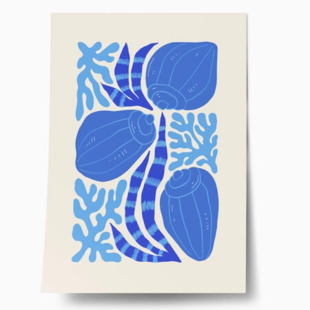 Πόστερ MATISSE STYLE SEASHELL 2 - Ζωα Sticky 1