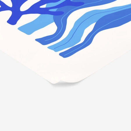 Πόστερ MATISSE STYLE SEASHELL 3 - Ζωα Sticky 2