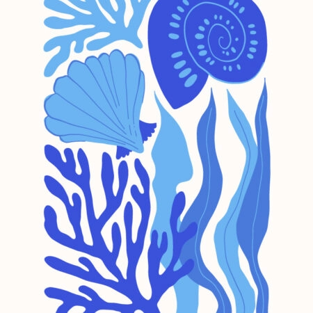 Πόστερ MATISSE STYLE SEASHELL 3 - Ζωα Sticky 3