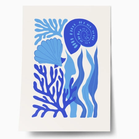 Πόστερ MATISSE STYLE SEASHELL 3 - Ζωα Sticky 1