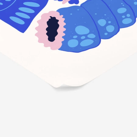 Πόστερ MATISSE STYLE SEASHELL 4 - Ζωα Sticky 2
