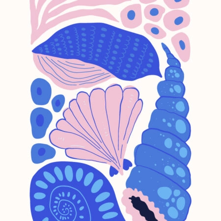 Πόστερ MATISSE STYLE SEASHELL 4 - Ζωα Sticky 3