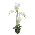 ΦΥΤΟ ΟΡΧΙΔΕΑ ΛΕΥΚΑ ΑΝΘΗ REAL TOUCH - Υ98cm