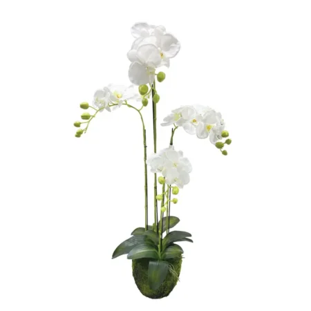 ΦΥΤΟ ΟΡΧΙΔΕΑ ΛΕΥΚΑ ΑΝΘΗ REAL TOUCH - Υ98cm - Τεχνητες Ορχιδεες