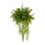 BOUQUET VARIOUS HANGING PLANT 20625 Τεχνητό Κρεμαστό Διακοσμητικό Φυτό Μιξ Μ75 x Π75 x Y100cm