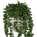 HANGING LOVER'S TEARS 20628 - Τεχνητό Κρεμαστό Διακοσμητικό Φυτό Lover's Tears Μ16 x Π16 x Y50cm