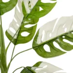 ALBINO MONSTERA 20938 Τεχνητό Διακοσμητικό Φυτό Πράσινη & Λευκή Μονστέρα Μ90 x Π90 x Υ90cm