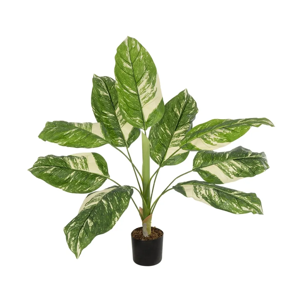 DIEFFENBACHIA 20941 Τεχνητό Διακοσμητικό Φυτό Πράσινη & Μπεζ Διφενμπάχια Μ80 x Π80 x Υ90cm
