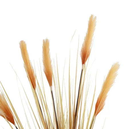 PAMPAS GRASS 21476 Τεχνητό Διακοσμητικό Φυτό Μπεζ Πάμπας Μ90 x Π40 x Υ150cm - Τεχνητά Γρασίδια και Χόρτα Sticky 1