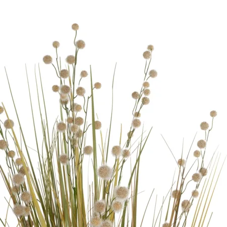 CRASPEDIA GRASS 21480 Τεχνητό Διακοσμητικό Φυτό Μπεζ & Πράσινο Κρασπέδια Μ90 x Π60 x Υ175cm - Τεχνητά Γρασίδια και Χόρτα Sticky 1