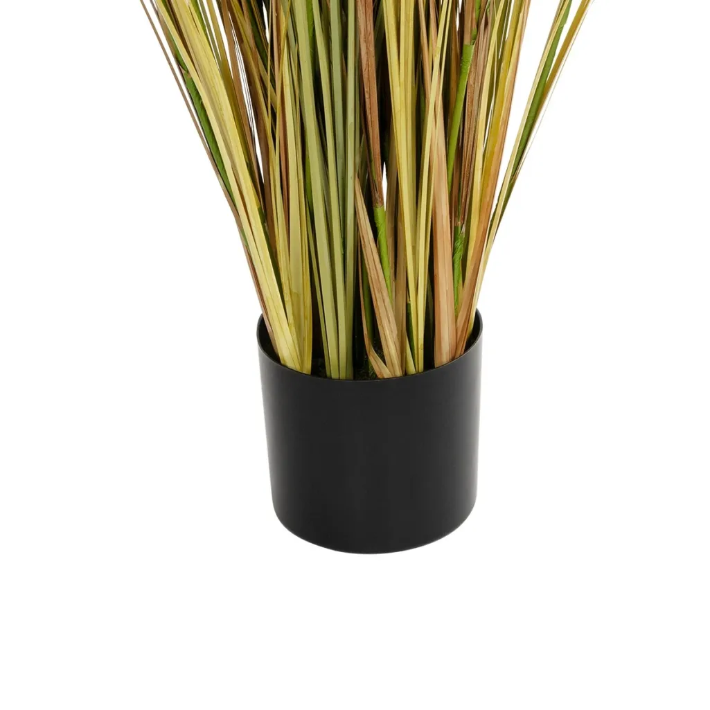 CRASPEDIA GRASS 21480 Τεχνητό Διακοσμητικό Φυτό Μπεζ & Πράσινο Κρασπέδια Μ90 x Π60 x Υ175cm