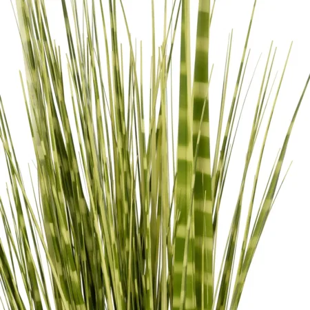 ZEBRA GRASS 21481 Τεχνητό Διακοσμητικό Φυτό Ζέμπρα Μ30 x Π20 x Υ90cm - Τεχνητά Γρασίδια και Χόρτα Sticky 1