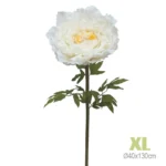 ΚΛΑΔΙ ΠΑΙΩΝΙΑ ΕΚΡΟΥ ΓΙΓΑΣ XL - Φ40x130cm