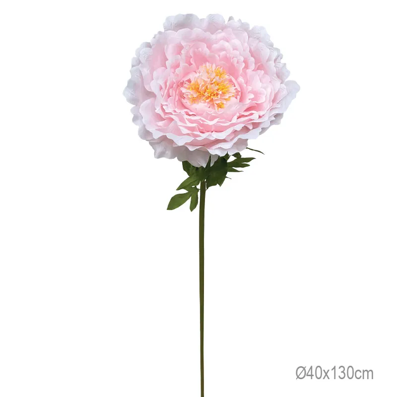 ΚΛΑΔΙ ΠΑΙΩΝΙΑ ΡΟΖ ΓΙΓΑΣ - Φ40x130cm