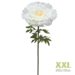 ΚΛΑΔΙ ΠΑΙΩΝΙΑ ΕΚΡΟΥ ΓΙΓΑΣ XXL - Φ50x150cm