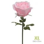ΚΛΑΔΙ ΤΡΙΑΝΤΑΦΥΛΛΟ ΡΟΖ ΓΙΓΑΣ XL - Φ40x125cm