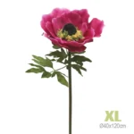 ΚΛΑΔΙ ΑΝΕΜΟΝΗ ΦΟΥΞΙΑ ΓΙΓΑΣ XL - Φ40x120cm
