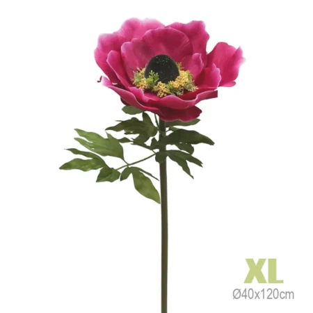 ΚΛΑΔΙ ΑΝΕΜΟΝΗ ΦΟΥΞΙΑ ΓΙΓΑΣ XL - Φ40x120cm
