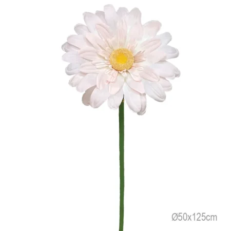 ΚΛΑΔΙ ΜΑΡΓΑΡΙΤΑ ΣΟΜΟΝ ΓΙΓΑΣ - Φ50x125cm