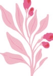 Πόστερ MATISSE STYLE BOTANICAL PINK FLOWERS