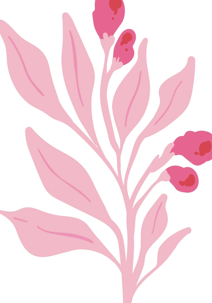 Πόστερ MATISSE STYLE BOTANICAL PINK FLOWERS
