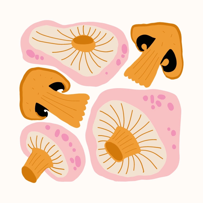 Πόστερ MATISSE STYLE MUSHROOMS